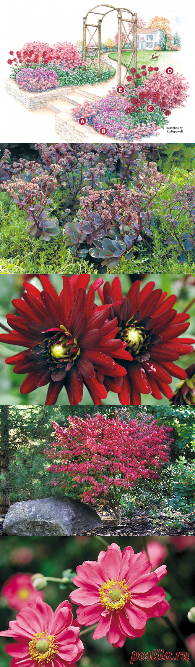 Flowery fall garden | Garden Gate Magazine