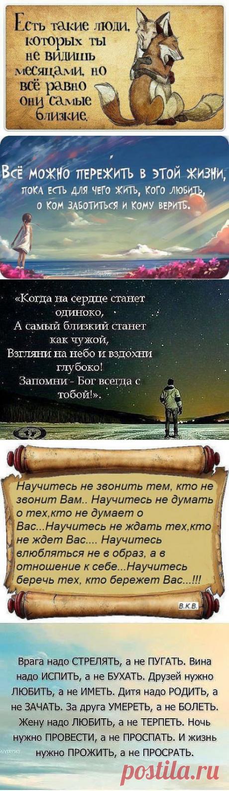 (20) Одноклассники