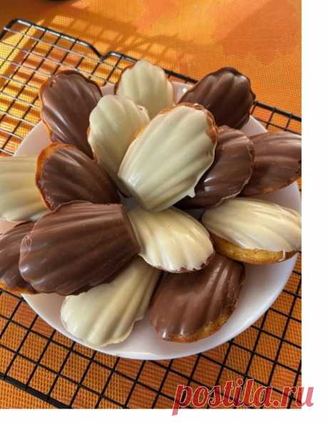 Скриншот-09-08-2025 14:46:06.jpg