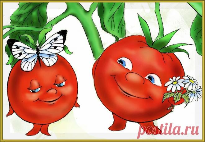 Сладкие помидоры. Как улучшить вкус томатов во время созревания | Мое любимое подворье | Яндекс Дзен