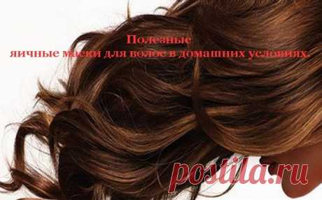 Полезные яичные маски для волос в домашних условиях.