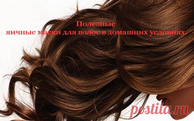 Полезные яичные маски для волос в домашних условиях.