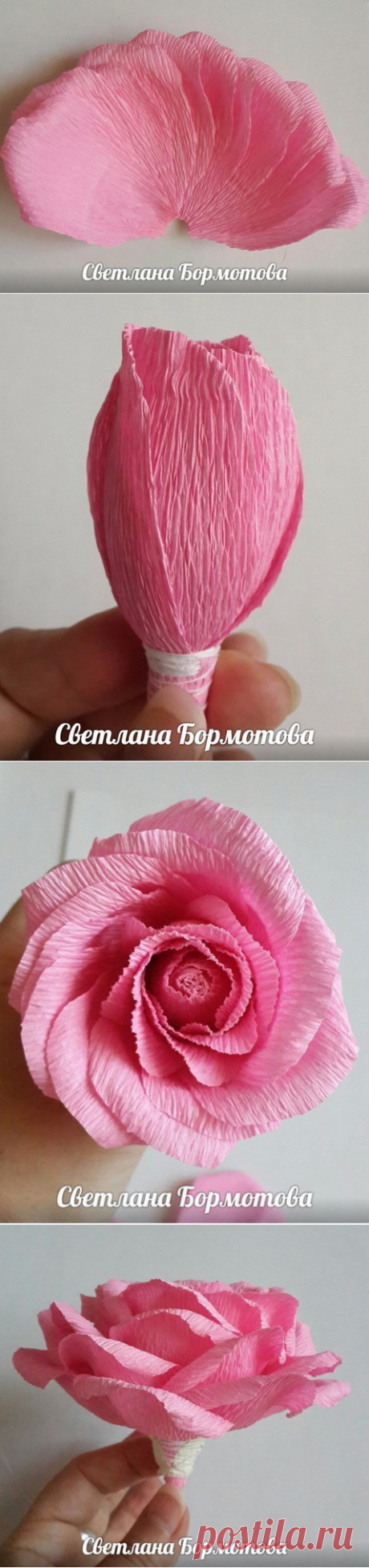 Наталия Сбитнева