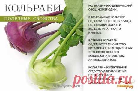 Кольраби полезные свойства