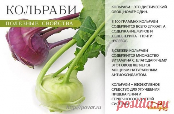 Кольраби полезные свойства