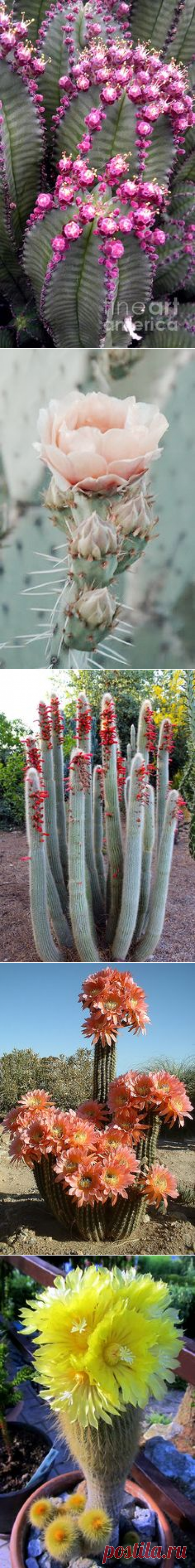 (59) Pinterest • Всемирный каталог идей