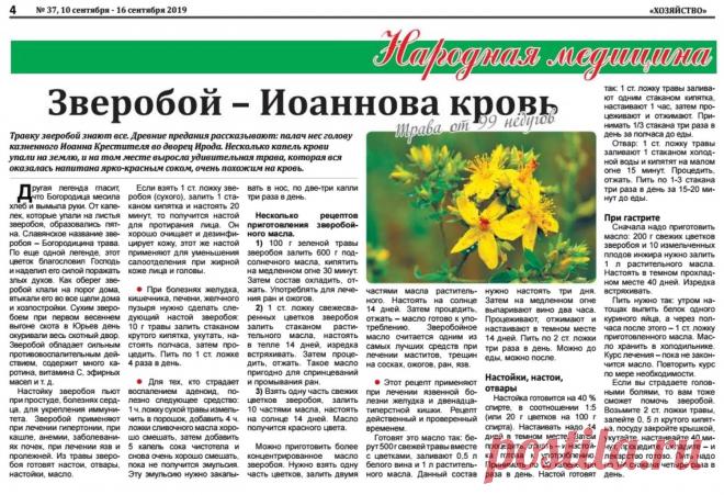 Зверобой - трава от 99 недугов