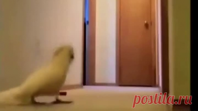Ну закрой окно, Наташ! Холодно же!
