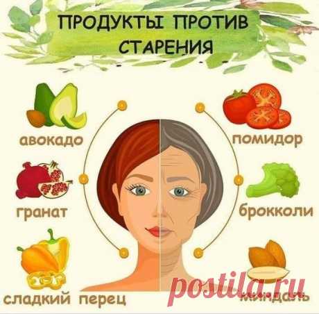 ЧТО НУЖНО ЕСТЬ, ЧТОБЫ НЕ СТАРЕТЬ?