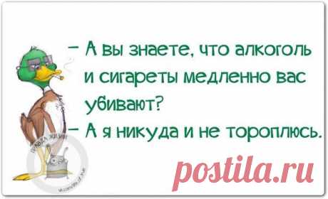 Новогодние фразочки со смыслом :) | Сайт Союза Юмористов
