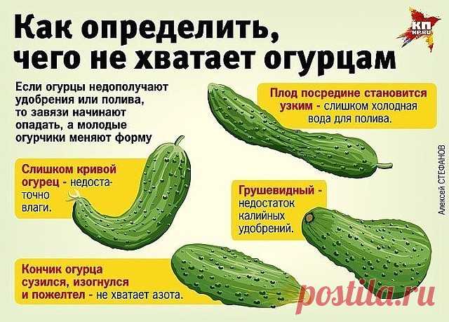 (79) Одноклассники