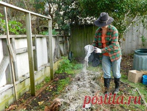 Удобрение из древесной золы.