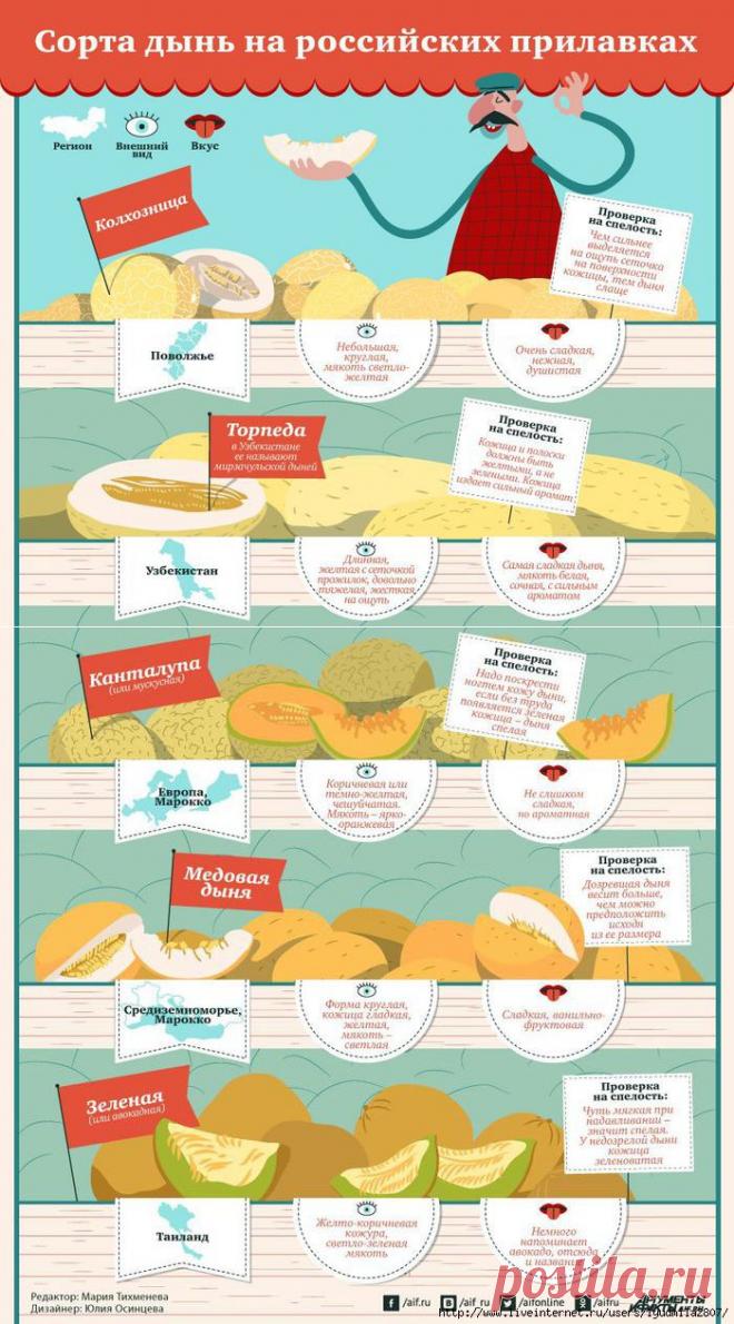 Какие дыни нам продают и как определить их спелость