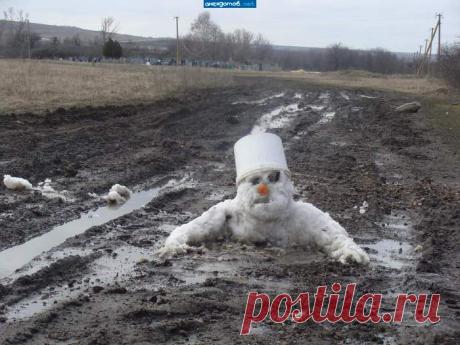 "Меня засосала опасная трясина..." / Фото-приколы 11 | Funny Photo 11