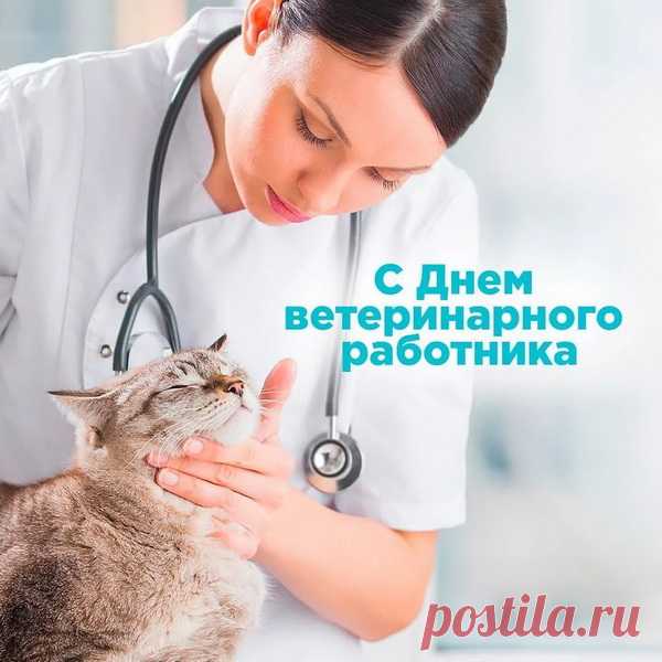 С Днем ветеринара я вас поздравляю,
От всей души вам радости желаю!
Спешите вы к нашим питомцам всегда,
Когда приключилась большая беда.