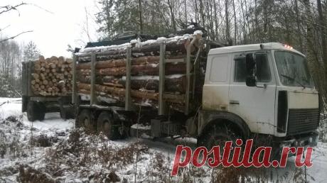 Аренда лесовозов в Екатеринбурге.
Свободны от7 шт лесовозов в Екатеринбурге.
Скания .вольво. 40 куб
лесовозы с манипуляторами ,
вездеходы на базе Урал.краз.маз.Камаз.
Цена: 8 руб.куб.км
https://special-service.info/
frizen196910@mail.ru 
89045471839