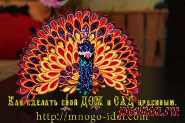 Павлин из канзаш