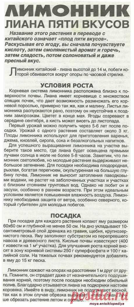 Лимонник

| клубника на зиму