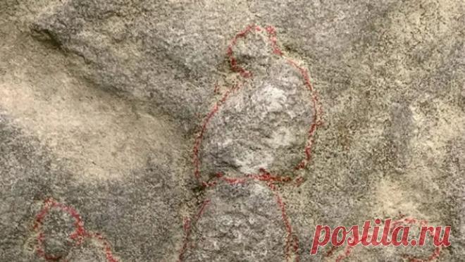 Каменные ступеньки оказались следами динозавров возрастом 190 млн лет. Два жителя юго-запада Китая выяснили, что камни, которые они почти 30 лет использовали в качестве обычных ступенек, оказались окаменелостями динозавров возрастом около 190 миллионов лет, пишет South China Morning Post. По данным СМИ, ...