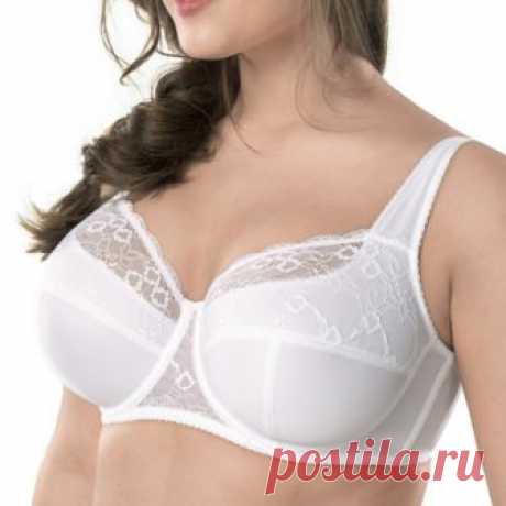 353С бюстгальтер Трибуна — купить на Татюр.рф