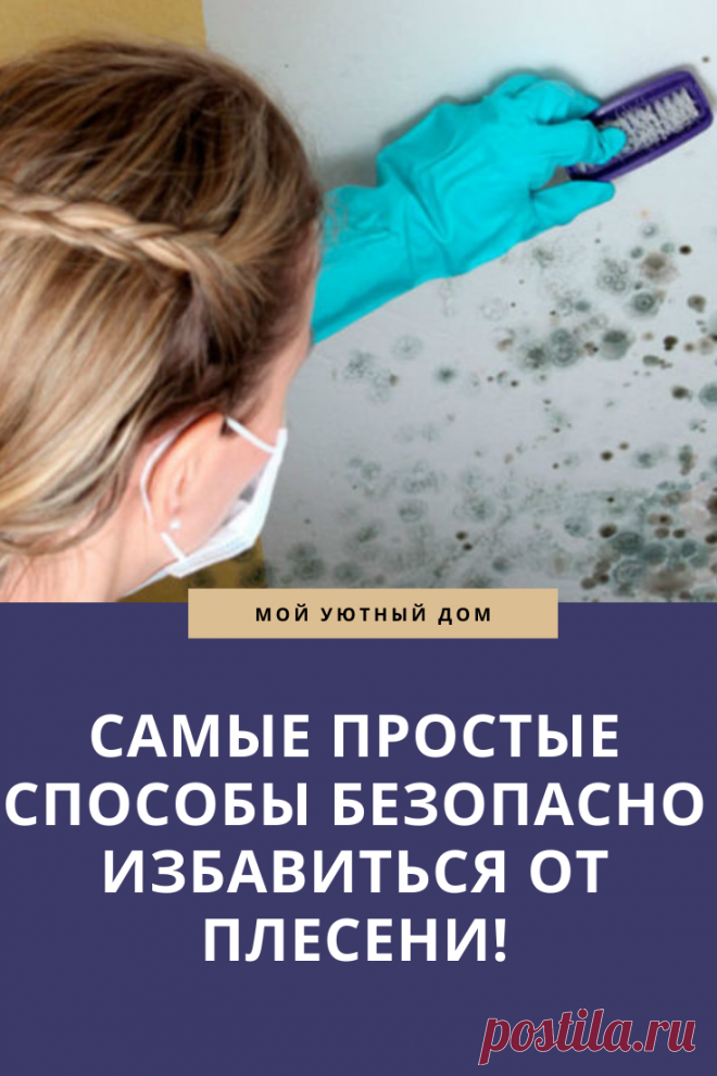 Советы как избавиться от плесени