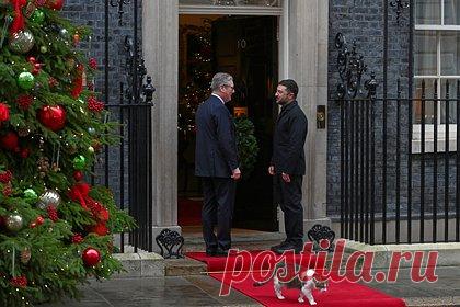 Главный кот Великобритании отказался заходить в одну дверь с Зеленским