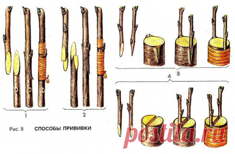 Одноклассники