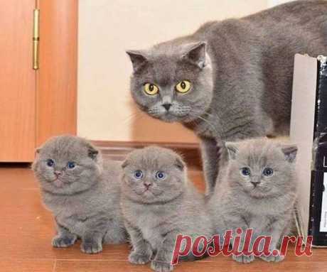 (5) Facebook