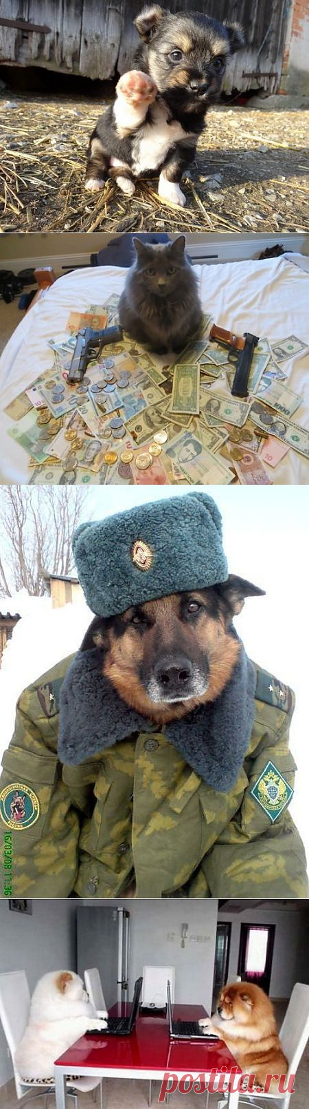 Фотоприколов мегапост / Приколы