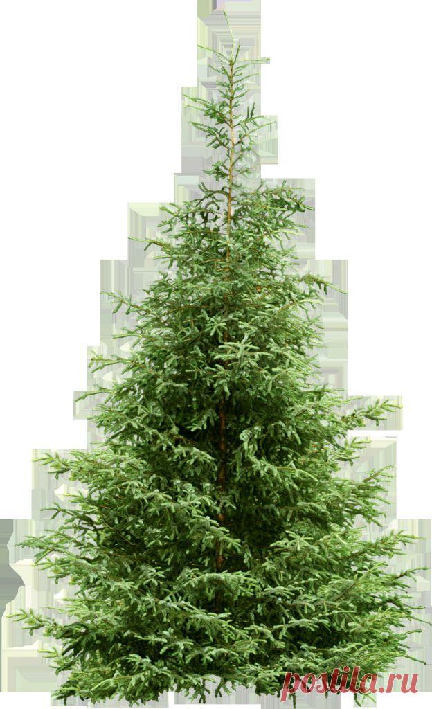 Плейкаст «СНОВА ЗАМЕРЛО ВСЕ ДО РАССВЕТА»