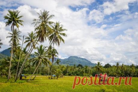 День 94. Второй день испытаний. Приключения продолжаются