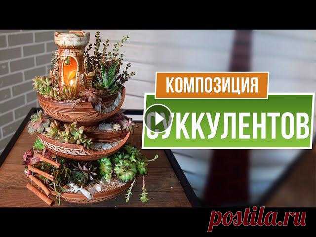 Прекрасная композиция из суккулентов ✔️ Оформление посуды мини сад своими руками ☘ Garden-zoo интернет-магазин - ✿ Вконтакте - ❦ Одноклассники - ✿ instagram - ❦ facebook - Товары представленные в роликах вы можете приобрести по адр...