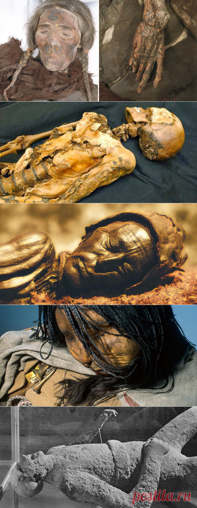 Жизнь после смерти / Моя Планета