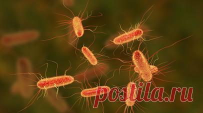 Специалист Созыкин допустил появление кишечной палочки в море после шторма в Туапсе. Кандидат медицинских наук, доцент кафедры физиологии, экологии человека и медико-биологических знаний факультета естественных наук Государственного университета просвещения Александр Созыкин предупредил, что после шторма в море лучше не плавать. Читать далее