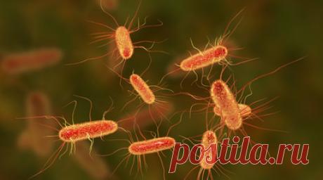 Специалист Созыкин допустил появление кишечной палочки в море после шторма в Туапсе. Кандидат медицинских наук, доцент кафедры физиологии, экологии человека и медико-биологических знаний факультета естественных наук Государственного университета просвещения Александр Созыкин предупредил, что после шторма в море лучше не плавать. Читать далее