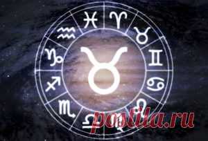 Телец Гороскоп на декабрь 2016 | FutuRealist