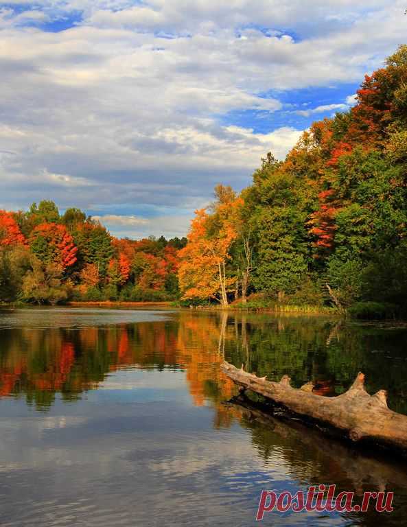 Magicofthe Seasons приколол(а) это к доске I Love Autumn