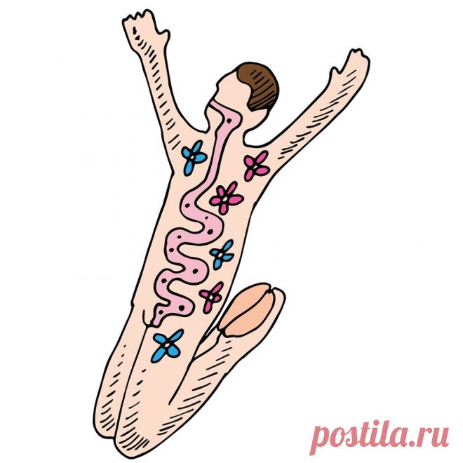 Советы лучших врачей