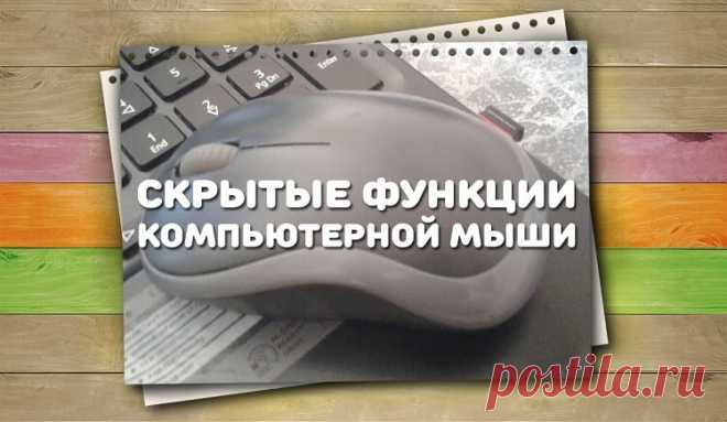 7 функций компьютерной мыши, о которых знают не все — Энергия Лайма