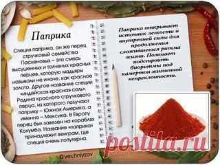 Идеальная Хозяюшка