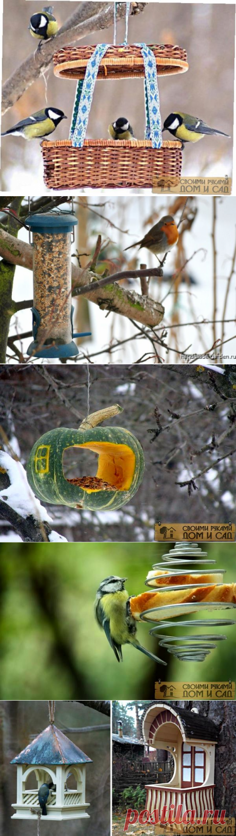 Отличные идеи птичьих кормушек. Много фото кормушек для птиц