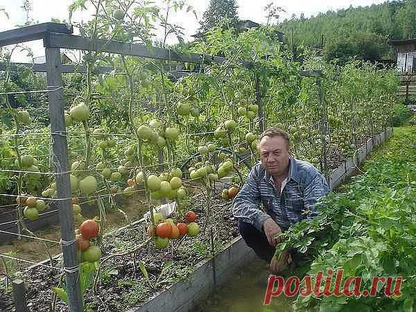 (12) Одноклассники