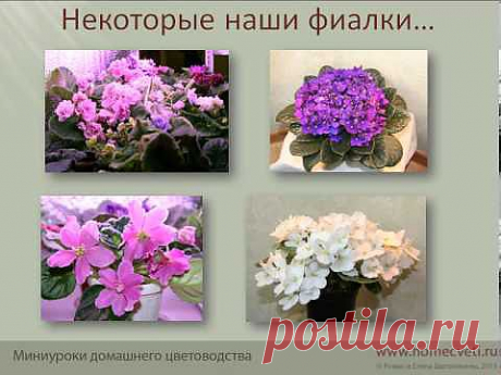 Давайте знакомиться!