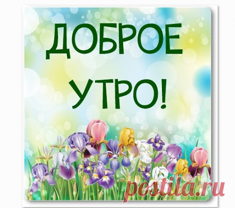 Gyazo - Загрузки