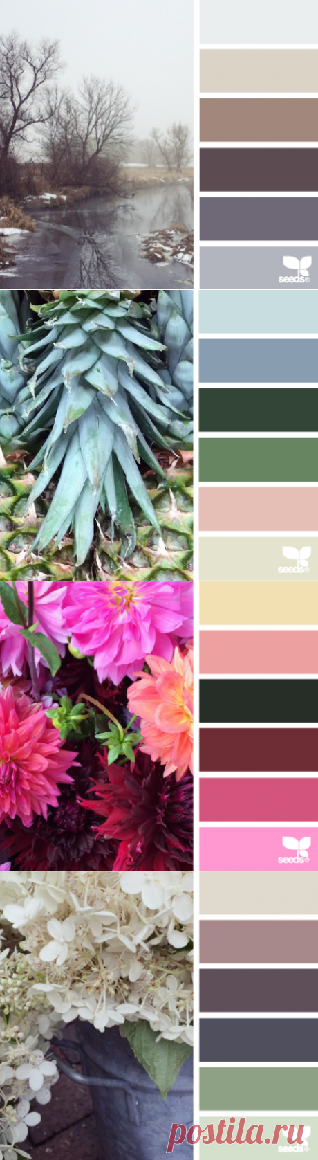 design seeds | for all who ♥ color