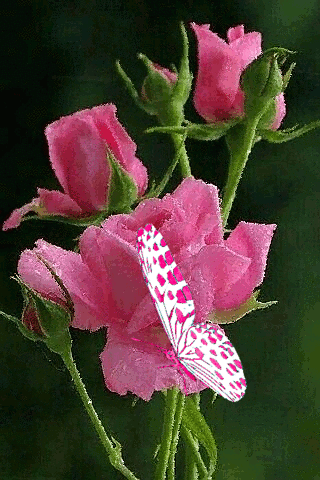 Лето
