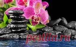 Цветы - обои на рабочий стол.