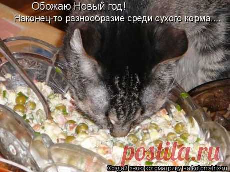 НАШИ МИЛЫЕ ЖИВОТНЫЕ.
