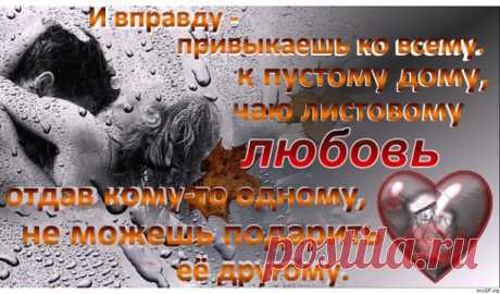 И вправду - привыкаешь ко всему.
 К пустому дому, чаю листовому...
Любовь отдав кому-то одному, 
Не можешь подарить её другому.
Друзьям киваешь - всё, мол, впереди. 
Забыто и не стоит волноваться.
 Домой приходишь около пяти
И не листаешь новости из глянца.
И вправду - привыкаешь ко всему. 
Уже и одиночество не страшно,
И даже есть признательность к нему 
За жизнь, давно налаженную, вашу...
И думаешь - бывают те, кто вмиг Вычеркивают, тотчас заменяют...
И лёгкость есть осо...