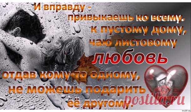 И вправду - привыкаешь ко всему.
 К пустому дому, чаю листовому...
Любовь отдав кому-то одному, 
Не можешь подарить её другому.
Друзьям киваешь - всё, мол, впереди. 
Забыто и не стоит волноваться.
 Домой приходишь около пяти
И не листаешь новости из глянца.
И вправду - привыкаешь ко всему. 
Уже и одиночество не страшно,
И даже есть признательность к нему 
За жизнь, давно налаженную, вашу...
И думаешь - бывают те, кто вмиг Вычеркивают, тотчас заменяют...
И лёгкость есть осо...
